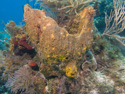 Key Largo